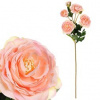 Ranunculus - umelý rezaný, kvety s pukmi, farba lososová