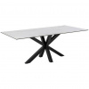 Livetastic JEDÁLENSKÝ STÔL, biela, 200/100/75,5 cm - Stoly - 001749012205