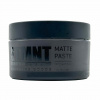 STMNT Matte Paste matující pasta na vlasy 100 ml