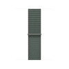 Apple 40mm Sage Sport Loop