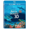Perla Oceánů 3D - BD