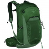 OSPREY TALON 22 green canopy/pine leaf Zelená batoh
