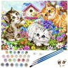 Maľba podľa čísel 40x50cm - Maaleo cats 22781