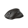 HP Ultra-Fast Scroll Wireless Mouse 785M B8YX4AA#ABB