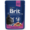 Pharmacopola BRIT Premium cat Kapsička Adult Salmon & Trout 100 g