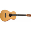 TANGLEWOOD TR8 E