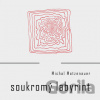 Soukromý labyrint - Michal Matzenauer