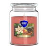 BISPOL Vanilla & Amber 500 g