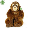 Plyšová opice orangutan 27 cm - plyšové hračky