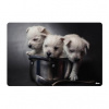 Podložka na stôl 60x40 cm Puppies
