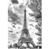 Dino Čierna a biela Eiffelova veža Francúzsko 500 dielov