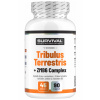 SURVIVAL, Tribulus Terrestris 90 Fair Power®, 90 kapslí