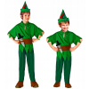 Kostým Peter Pan Widmann veľ. 140