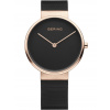 Bering 14539-166