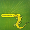 Various - Indies Records 2005 [CD]