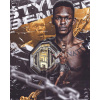 CUKROVÁ TLAČ jedlý obrázok na tortu Cukrová hmota UFC Israel Adesanya MMA + MENO