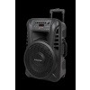 Kruger&Matz Aktívny reproduktor (s 2 bezdrôtovými mikrofónmi UHF, SD, Bluetooth, FM, USB) 40 Watt