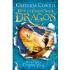 How To Train Your Dragon: 12: How to Fight a Dragons Fury