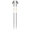 Skialpinistické palice Black Diamond TRAVERSE PRO SKI POLES Foam Green