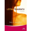 Léčba traumatu