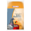 VERSELE LAGA Colombine Grit + Redstone 2,5kg