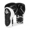 Boxerské rukavice DBX BUSHIDO BB5