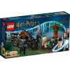 Stavebnica LEGO Harry Potter Testrál a Rokfortský koč 76400