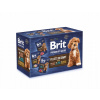 Vlhké krmivo pre psa Brit bez obilnín mix chutí vrecúško 12x85 g