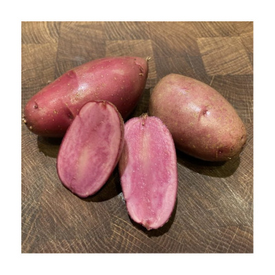 Sadbové zemiaky Heiderot - Solanum tuberosum - predaj sadiva - 5 ks