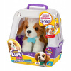 Moose Toys Little Live Pets My Really Real Puppy Set