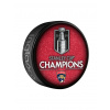 Florida Panthers puk 2024 Stanley Cup Champions Special Edition Glitter