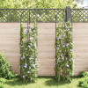 Pergola kovová VidaXL oblúk 1 cm