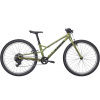 Bicykel Trek Wahoo 24 Path Chameleon Green 2026 24