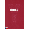 Y-Bible (Youcat Biblia, český preklad) (Bible katolické církve pro mláděž. S předmluvou papeže Františka)