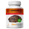Coriolus 50% vysoká koncentrácia Mycomedica Obsah: 90 kapsúl á 500mg extraktu