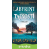 E-kniha Labyrint tajností - Linda Castillo