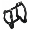 CHAMPION P MED HARNESS BLACK