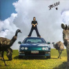 LP BENEE: Fire On Marzz / Stella & Steve CLR