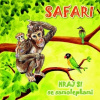 RAPPA Album obrázkové Safari Hraj si se samolepkami