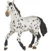 PAPO Figúrka PAPO, kôň appaloosa, white/black