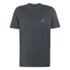 Pánske Tričko s krátkym rukávom ADIDAS M TERREX G T KR4896 – Sivá