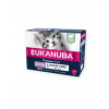 EUKANUBA Grain Free Kitten paštéta pre mačiatka Jahňacie 12 x 85 g