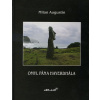 Omyl pána Hayerdhála - Milan Augustín