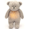 Moonie Medveď 2.0 Organic Grey