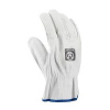 ARDON INDY A1099/10
