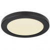 LED stropné svietidlo Globo 12379-18B