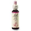 Dr. Bach Esence Elm 20 ml