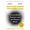 Reaching Down the Rabbit Hole