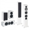 Pure Acoustic Noble II set