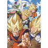 CLEMENTONI Puzzle Dragon Ball 104 dielikov